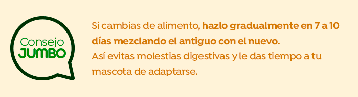 Consejo Jumbo Alimento Seco
