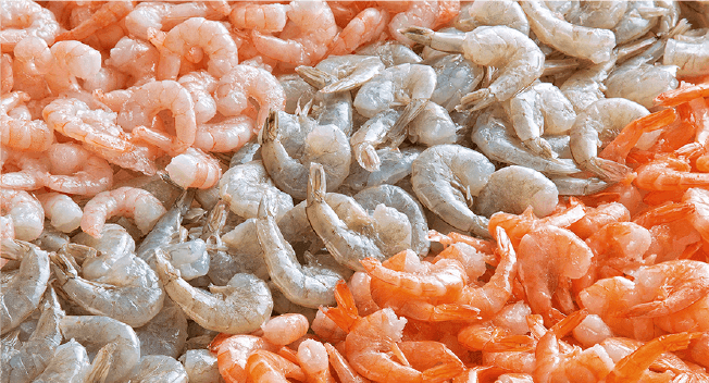 Camarones