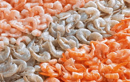 Camarones