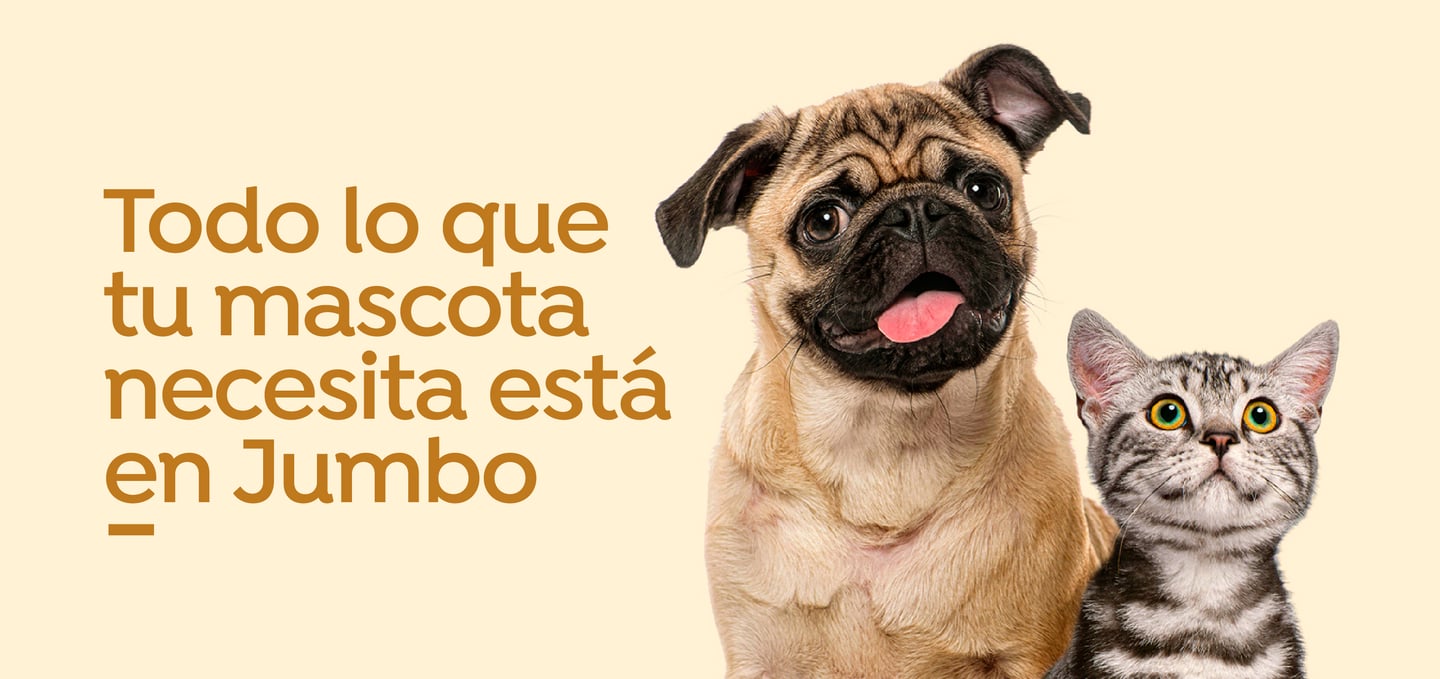 mascotas