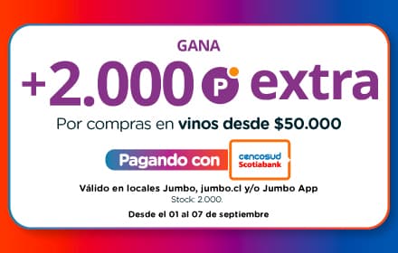 Bono Puntos Vino