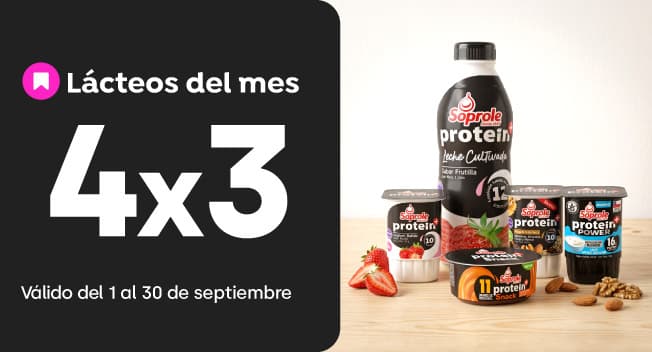 Yoghurt, postres y leches