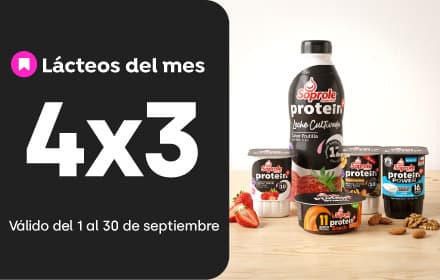 Yoghurt, postres y leches